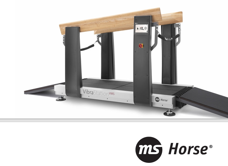 VMS Technologie für gesunde Pferde