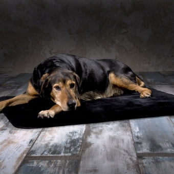 HUNDEDECKE SHEEPY Kuschelig weich gebettet *