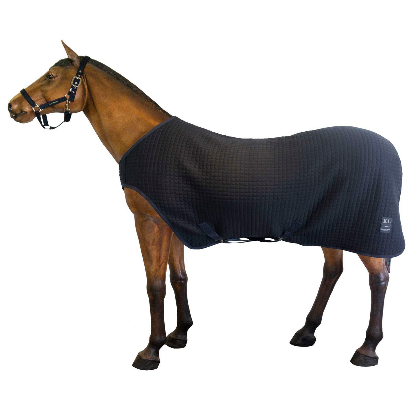 Thermo-Trainingsdecke *