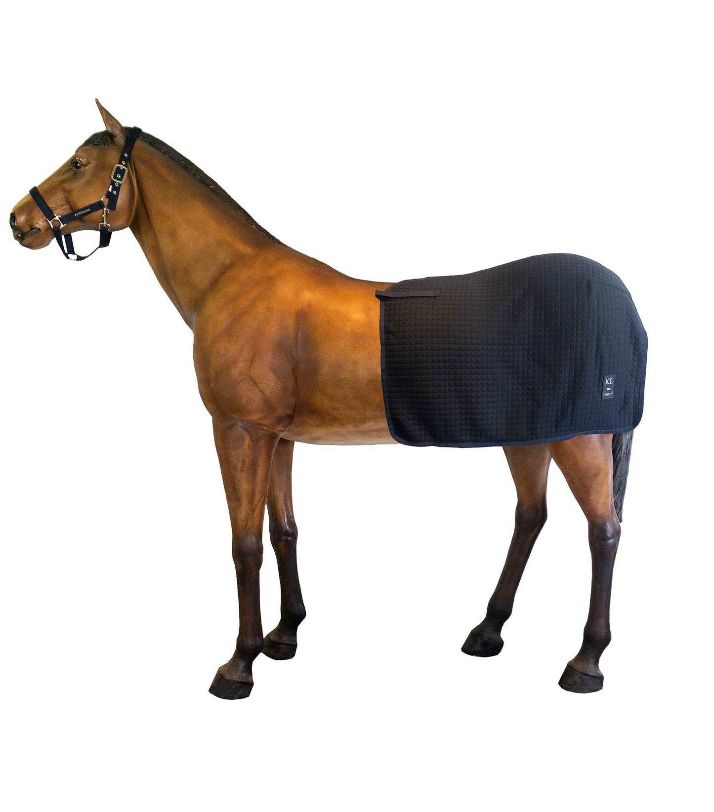 Reitdecke aus Thermo-Material *