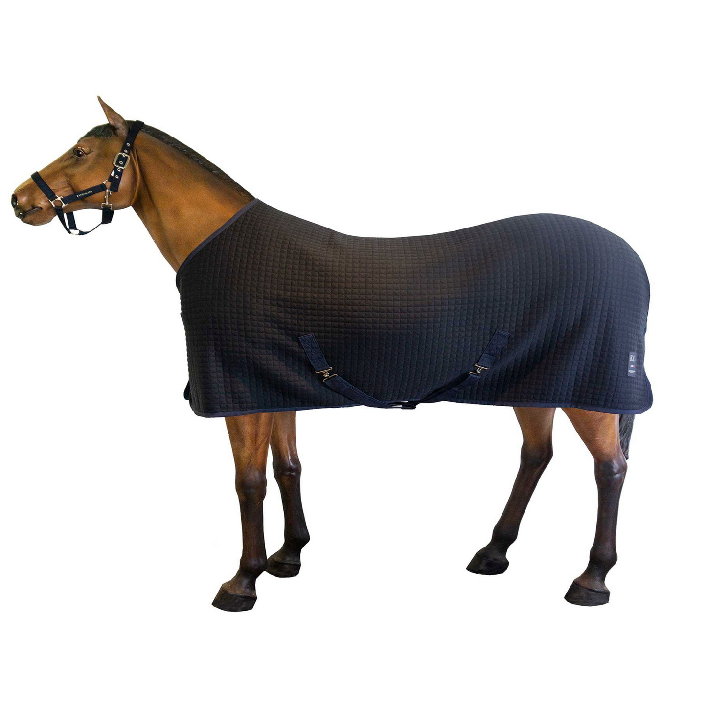 Vielseitige Thermo-Decke *