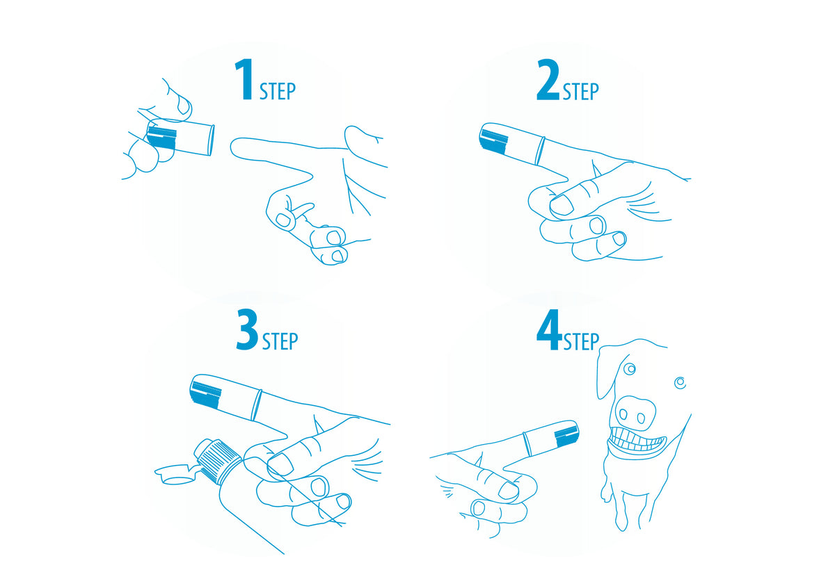 AFP Sparkles Finger Brush (6pack) *