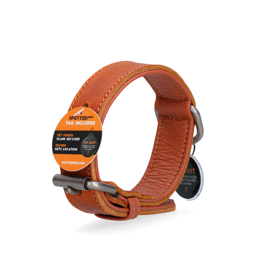 Spotted! Pro Lederhalsband Cognac 2,5x40cm *