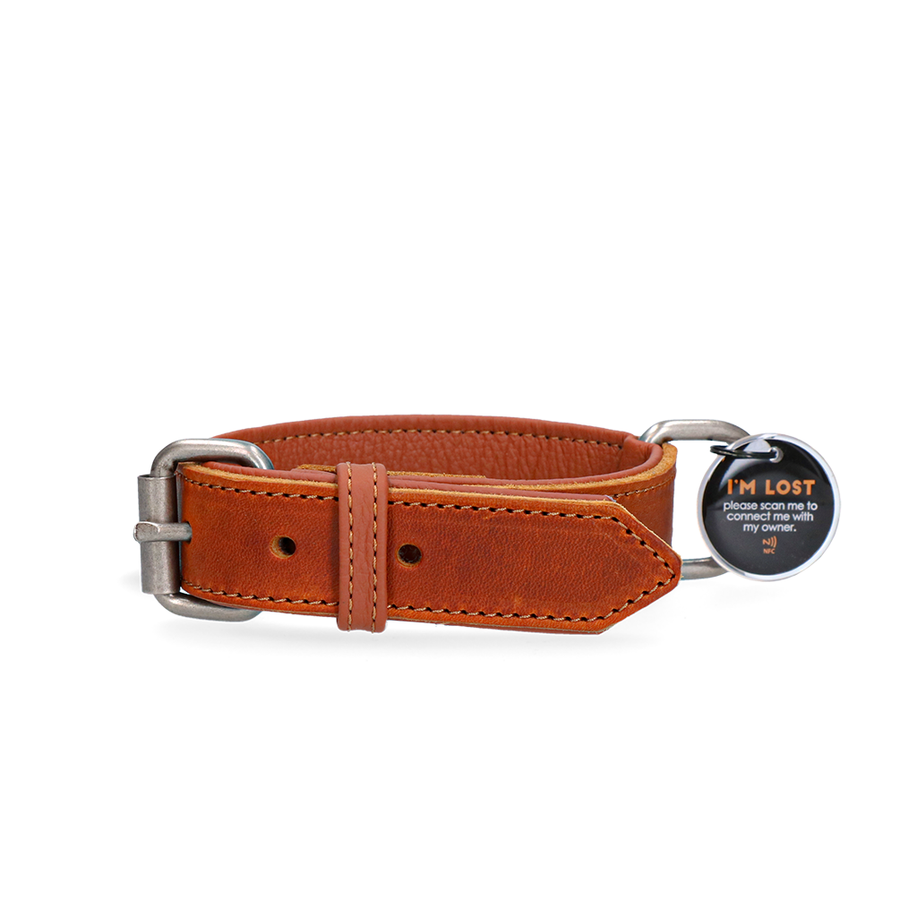 Spotted! Pro Lederhalsband Cognac 2,5x40cm *