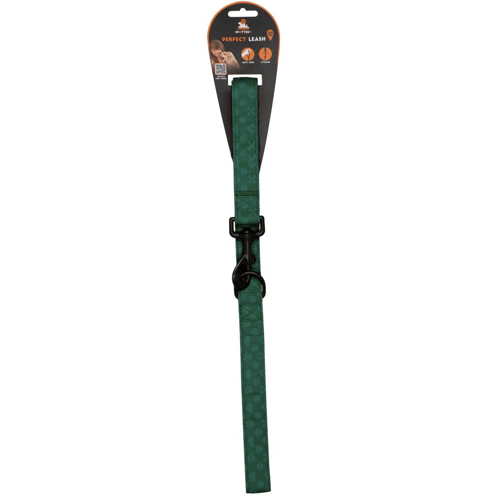 Spotted! PRO Leine Grun 120cm