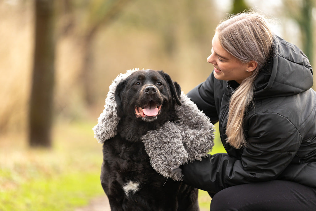 Royal Dry Towel – Ultra saugfähiges Handtuch für Hunde *