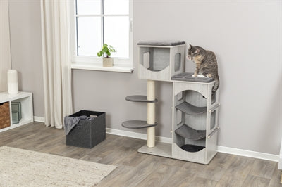 Trixie Kratzbaum Adriano Grey