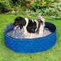 Karlie Flamingo DOGGY POOL Swimmingpool für Hunde - Blau gemustert *