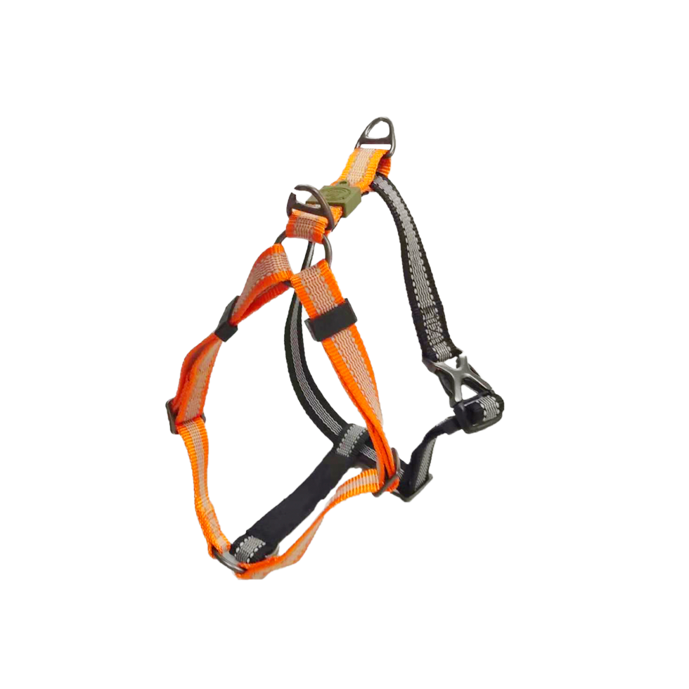 AFP Off Street - Dog Non-Pull Harness Mandarine M