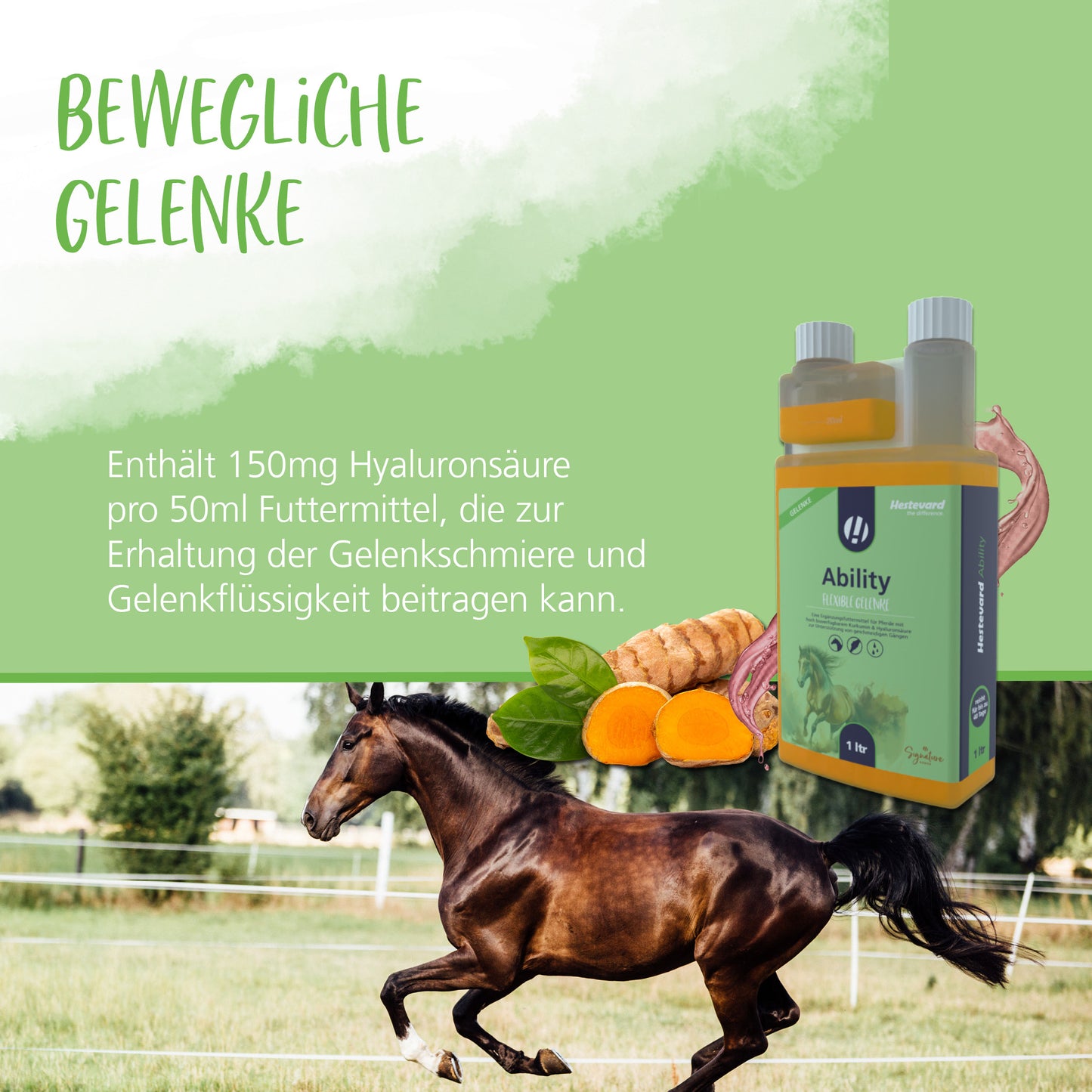 Hestevard Ability - 1L