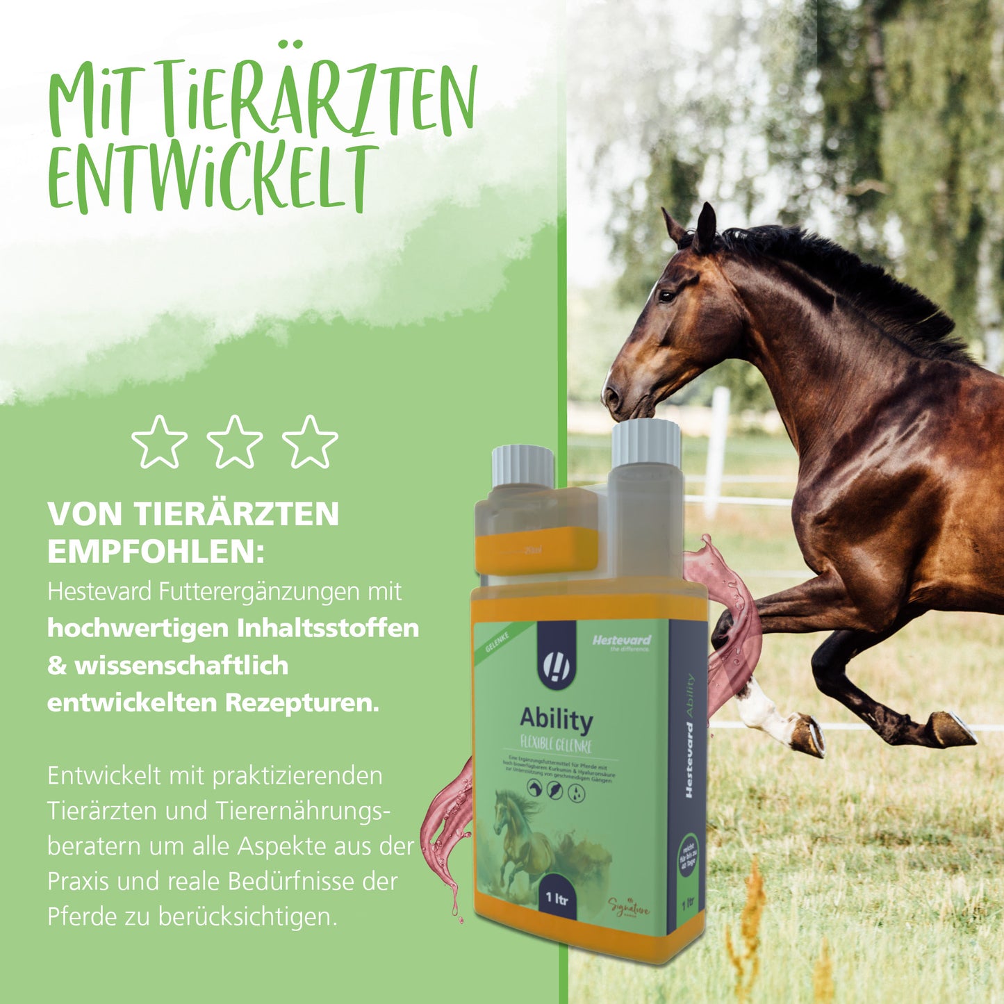 Hestevard Ability - 1L
