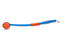 Chuckit! Fetch & Fold Launcher Original *