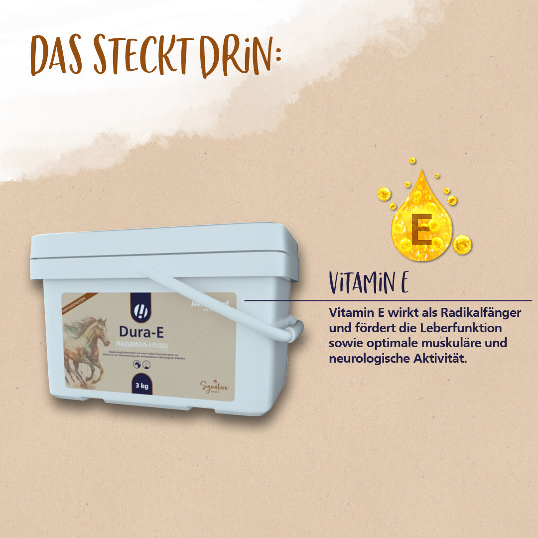 Hestevard Dura-E – Hochdosiertes Vitamin E für Pferde