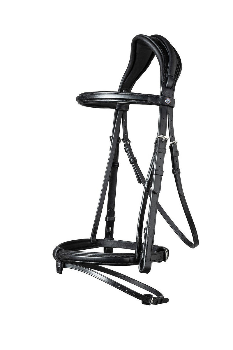 Geneva Comb.noseband bridle