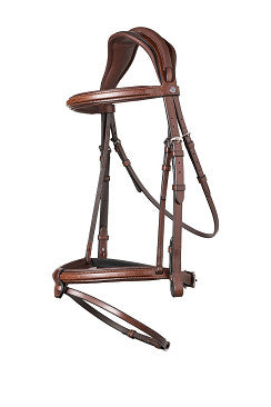 Geneva Comb.noseband bridle