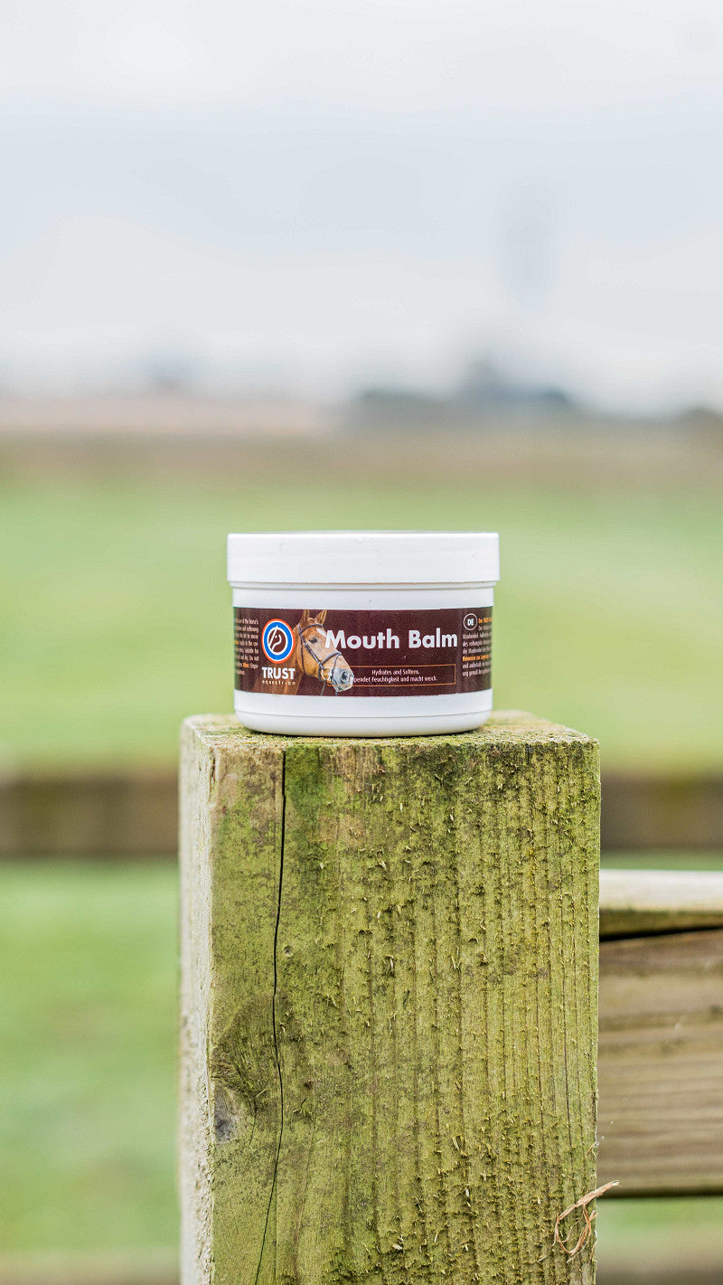 TRUST Mouth Balm – Sanfter Schutz & Pflege für das Pferdemaul