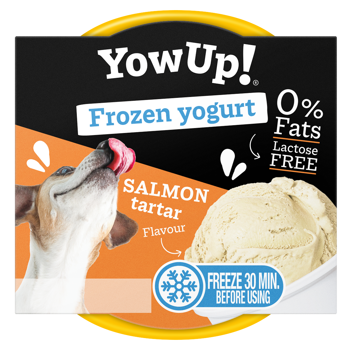 YowUp! Frozen Yoghurt Salmon Tartar *