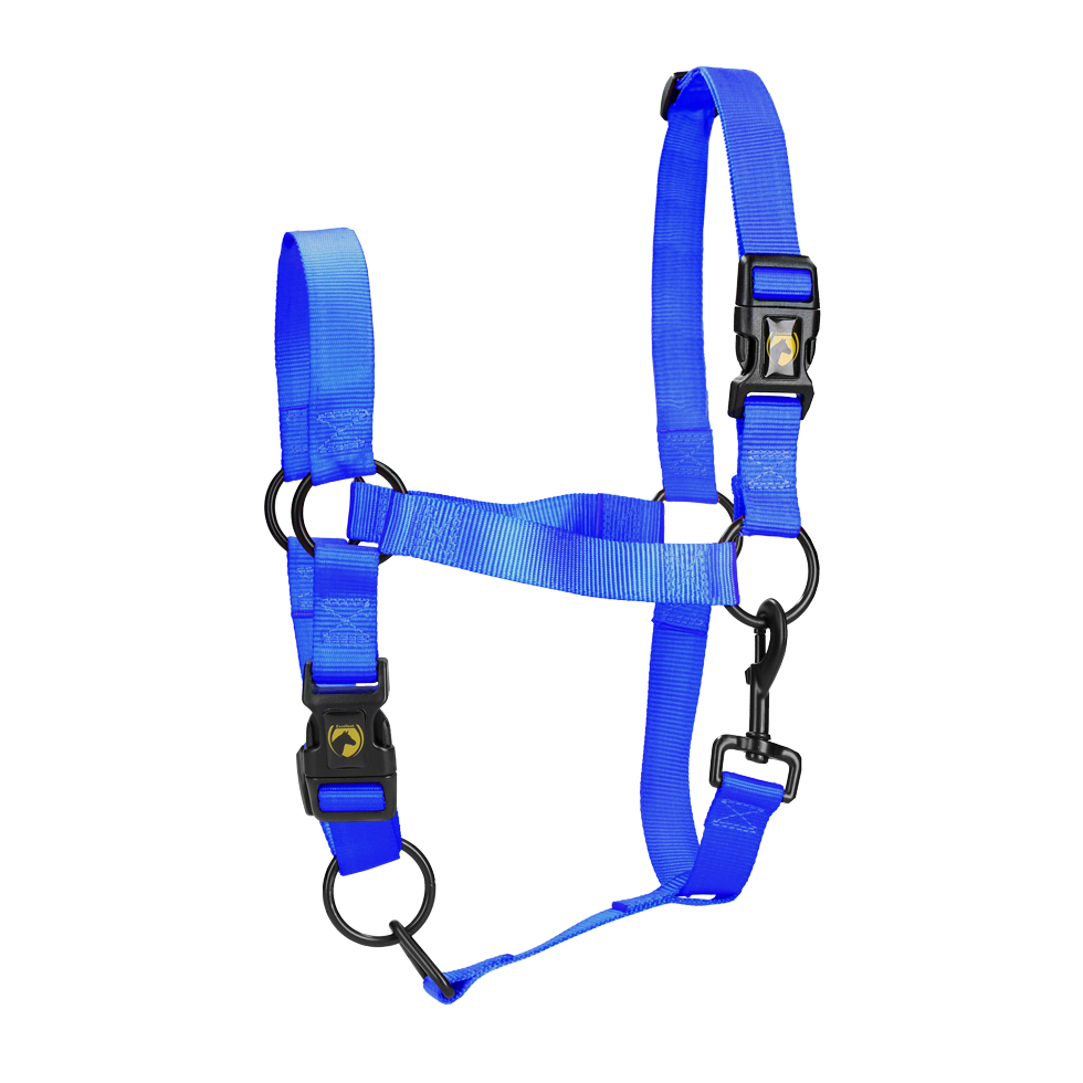Excellent Essential Halfter Blau XL *