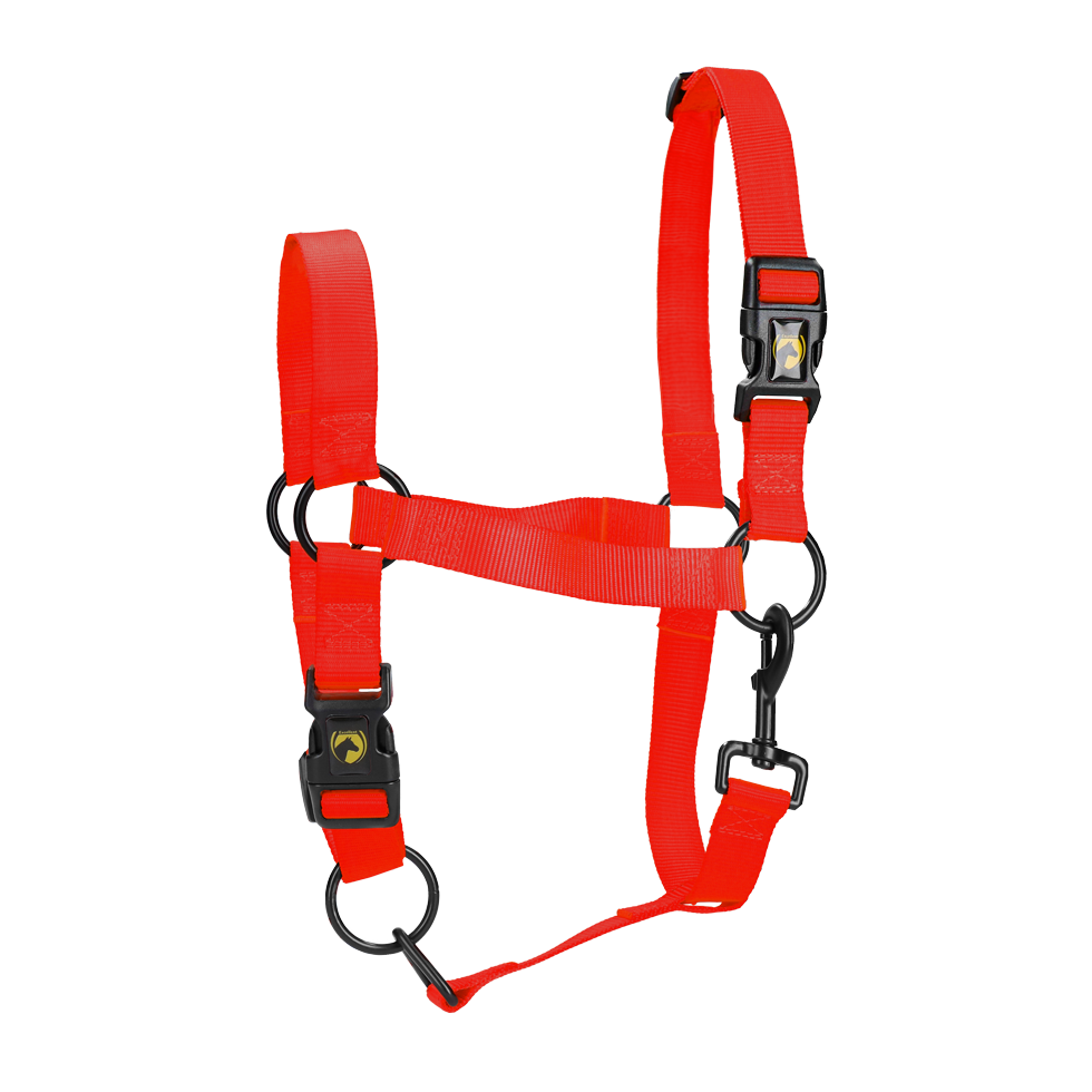Excellent Essential Halfter Rot XL *