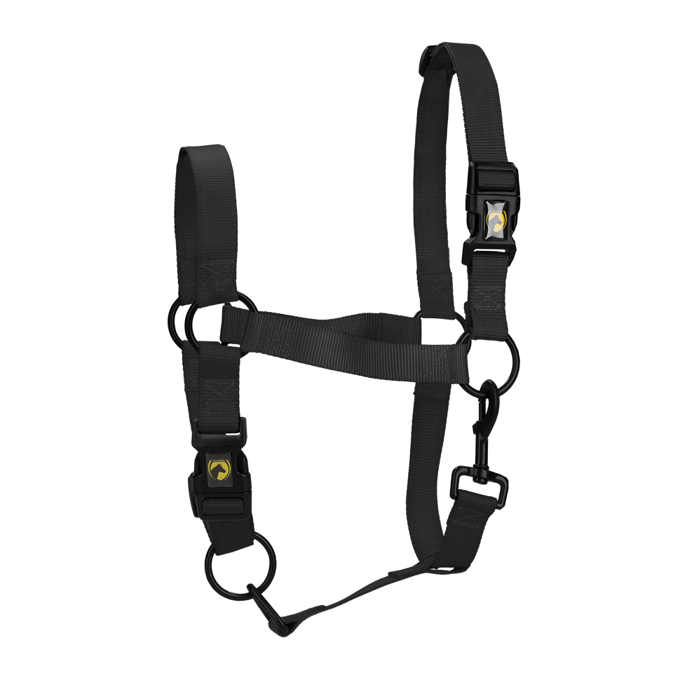 Excellent Essential Halfter Schwarz XL *