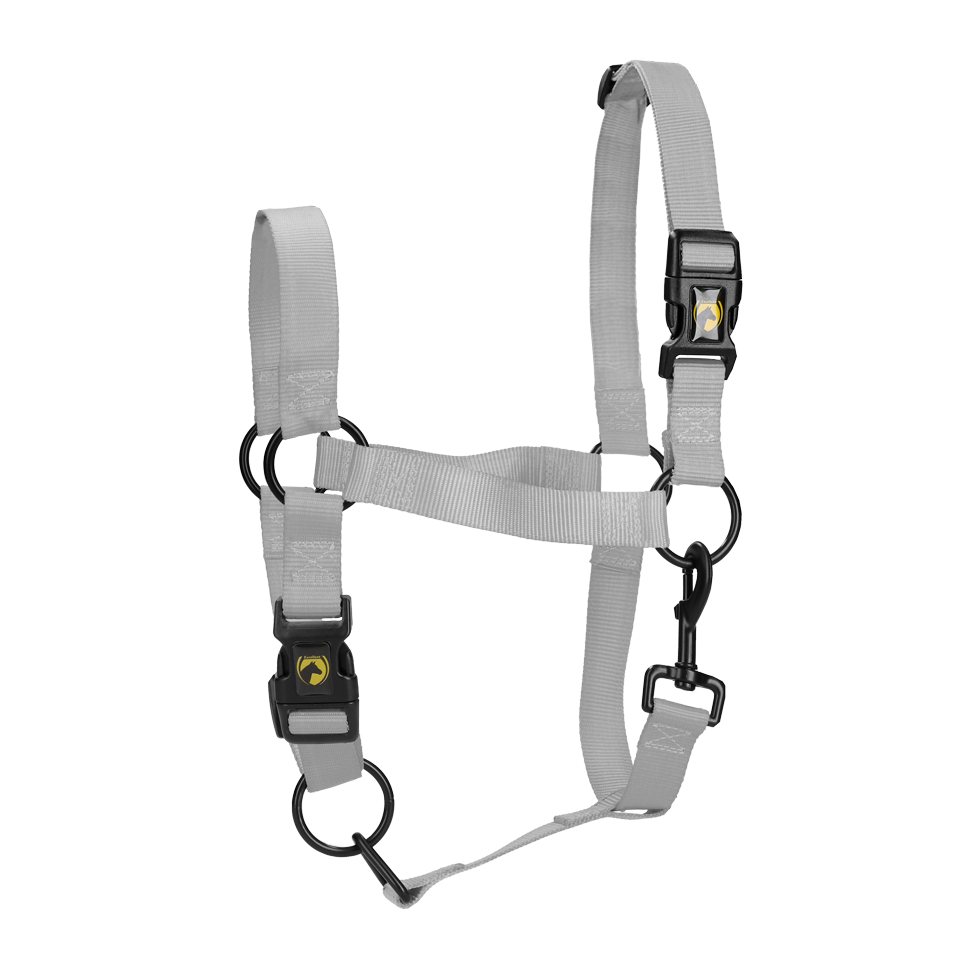 Excellent Essential Halfter Grau XL *