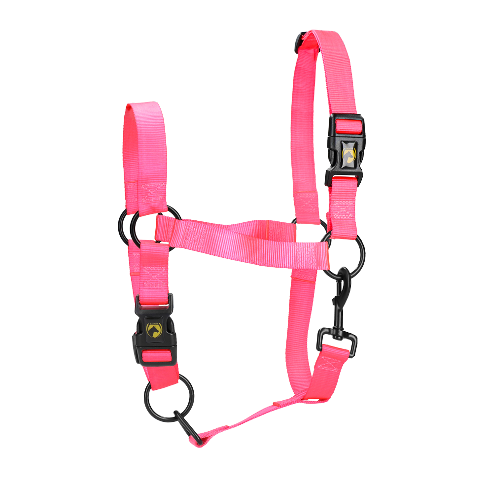 Excellent Essential Halfter Rosa XL *