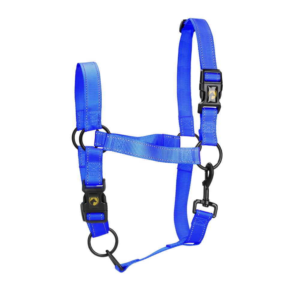 Excellent Premium Halfter Blau L *
