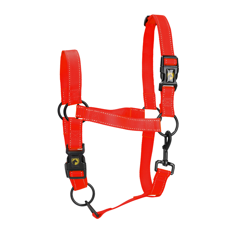 Excellent Premium Halfter Rot XL *