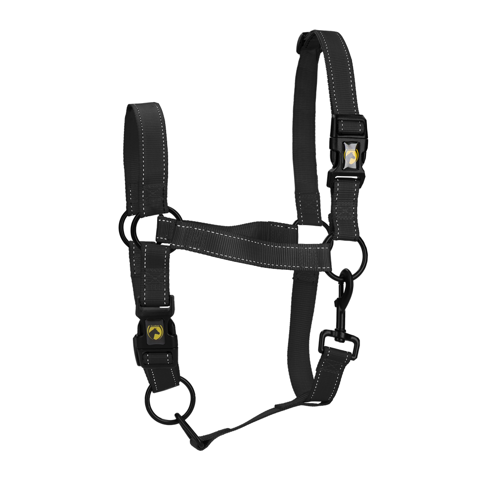 Excellent Premium Halfter Schwarz XL *