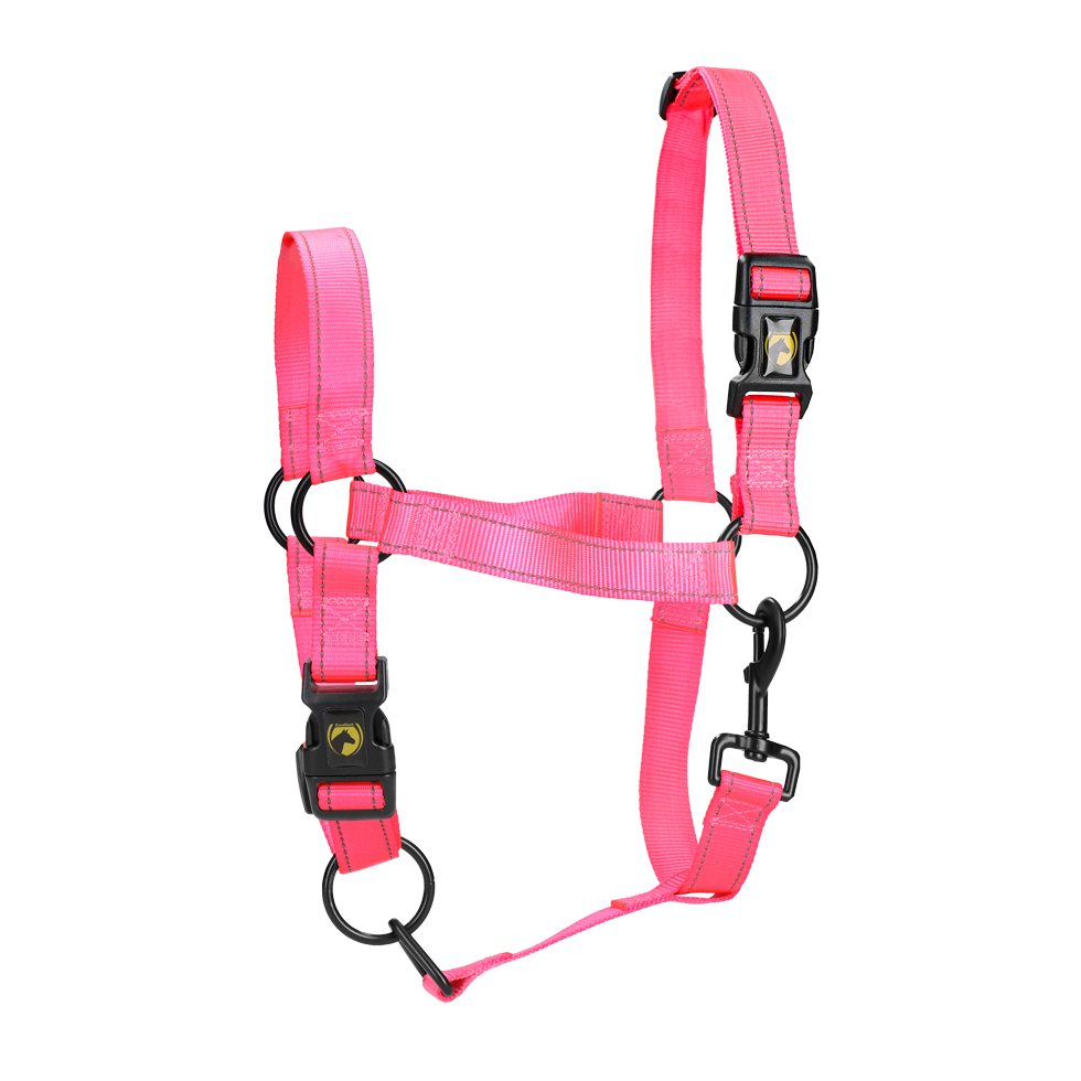 Excellent Premium Halfter Rosa XL *
