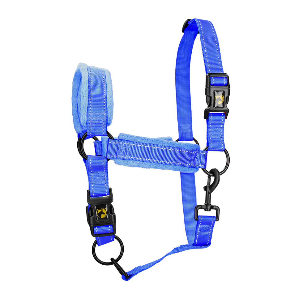 Excellent Superior Halfter Blau XS *