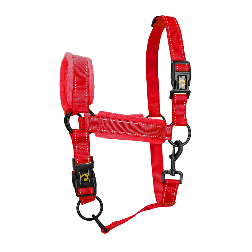 Excellent Superior Halfter Rot XS *