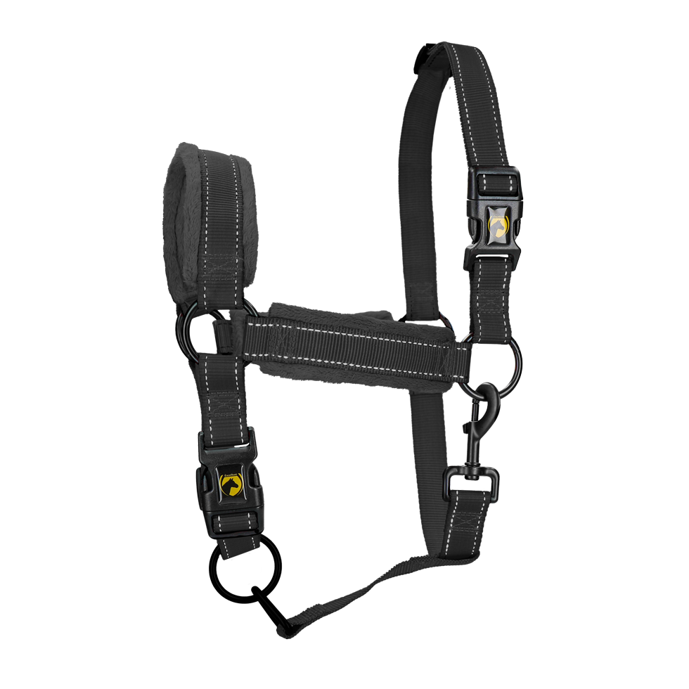 Excellent Superior Halfter Schwarz S *
