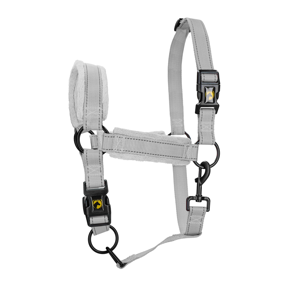 Excellent Superior Halfter Grau XL *