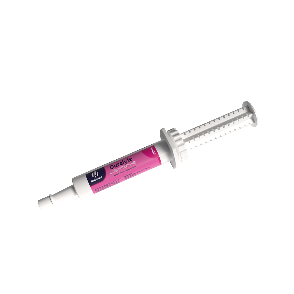 Hestevard Duralyte Paste