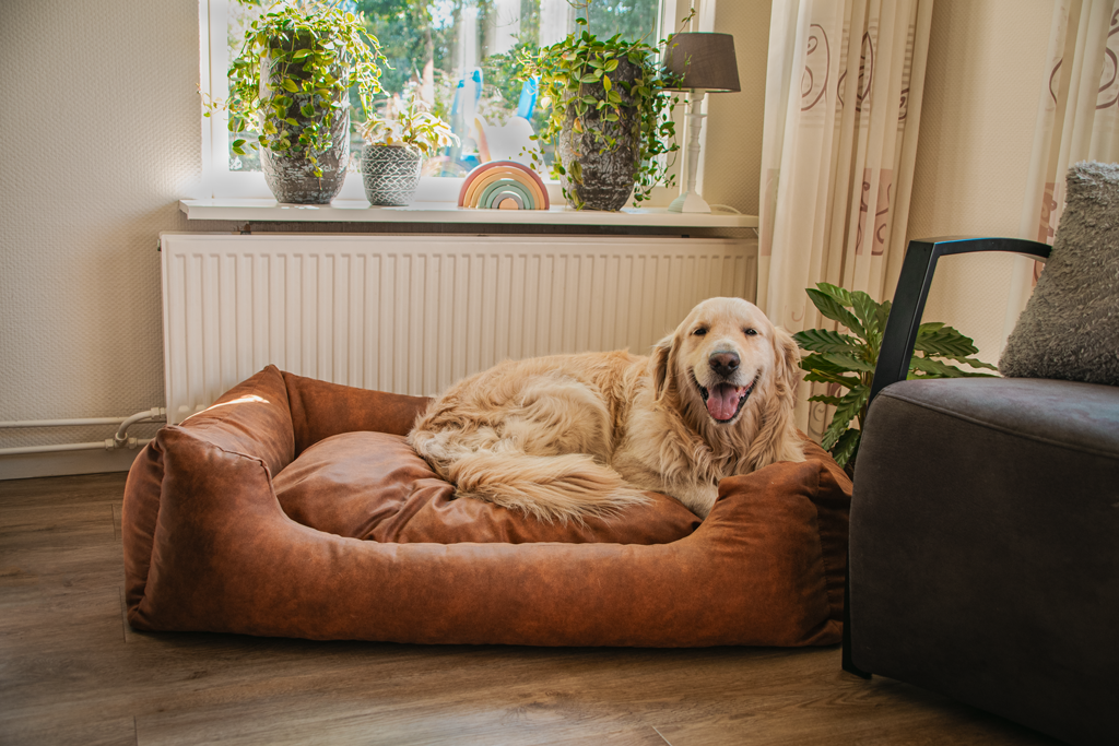 Let's Sleep Sweet Dreams Hundekorb Mit Kissen L Anthrazit *