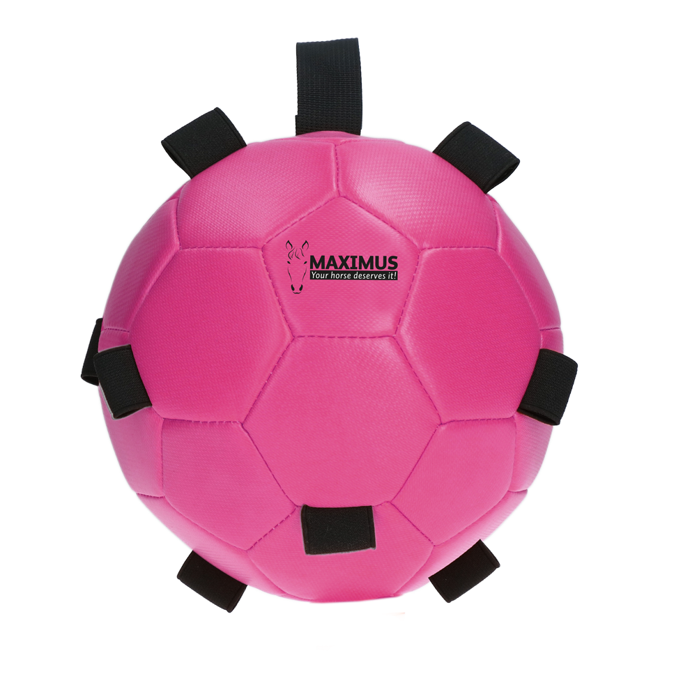 Excellent Horse Fun Play Ball Rosa *