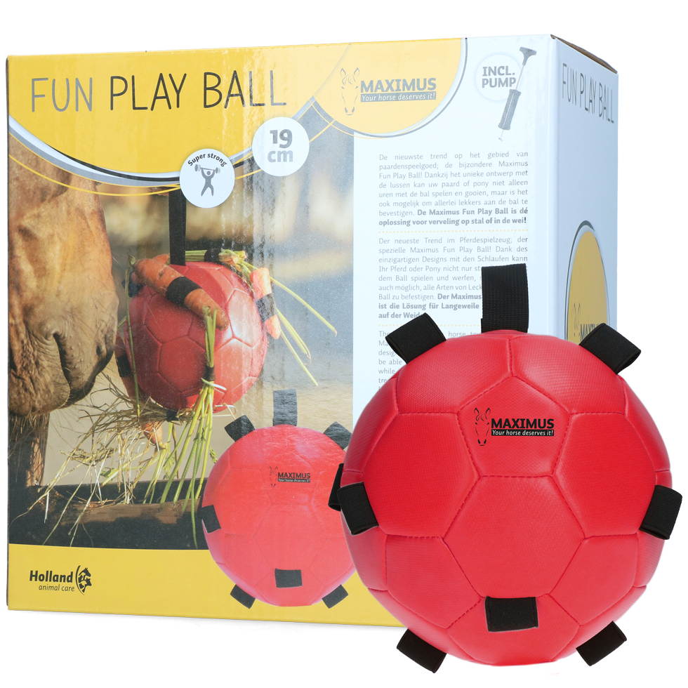 Excellent Horse Fun Play Ball Rot *