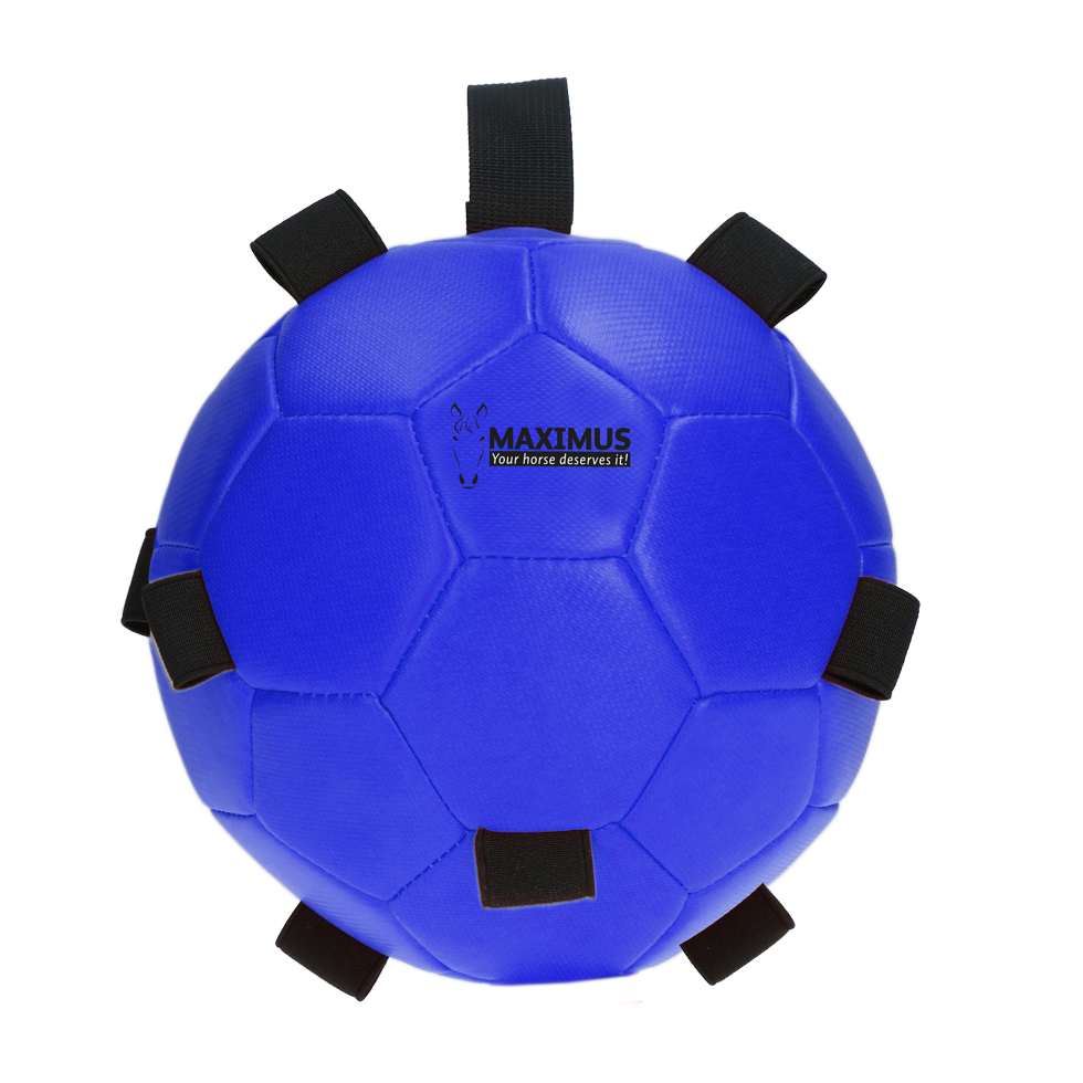 Excellent Horse Fun Play Ball Blau *