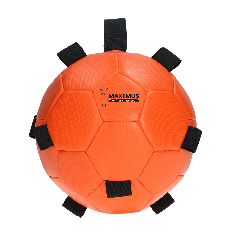 Excellent Horse Fun Play Ball Orange *