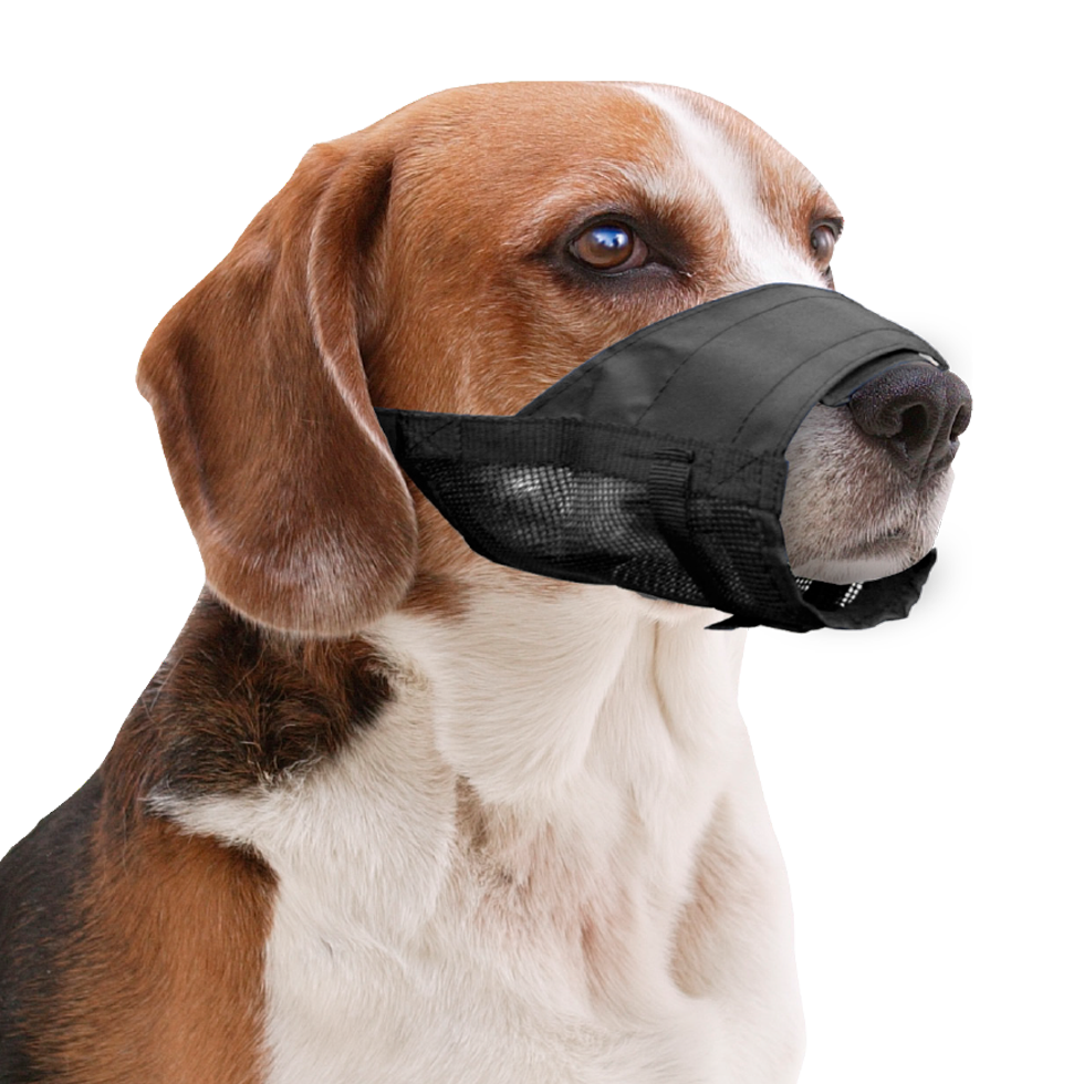 Pawise Adjustable Nylon Muzzle XL *