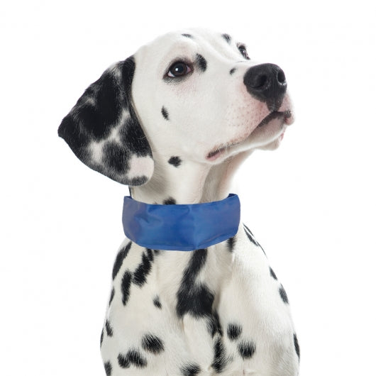 PROCYON Kühl-Bandana für Hunde *