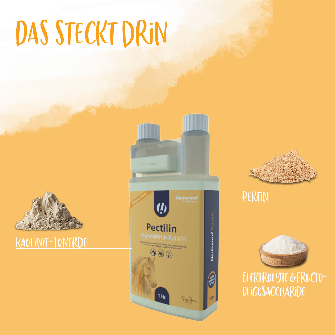 Hestevard Pectilin - 1L Flasche