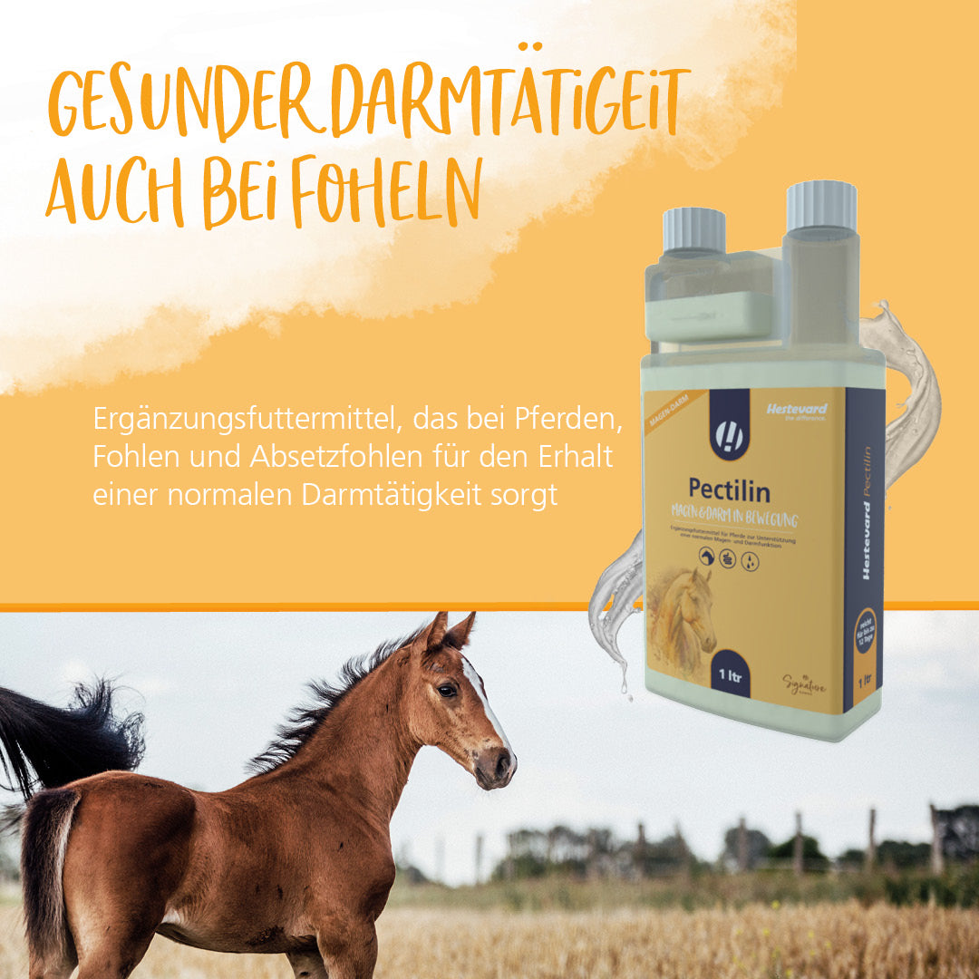 Hestevard Pectilin - 1L Flasche
