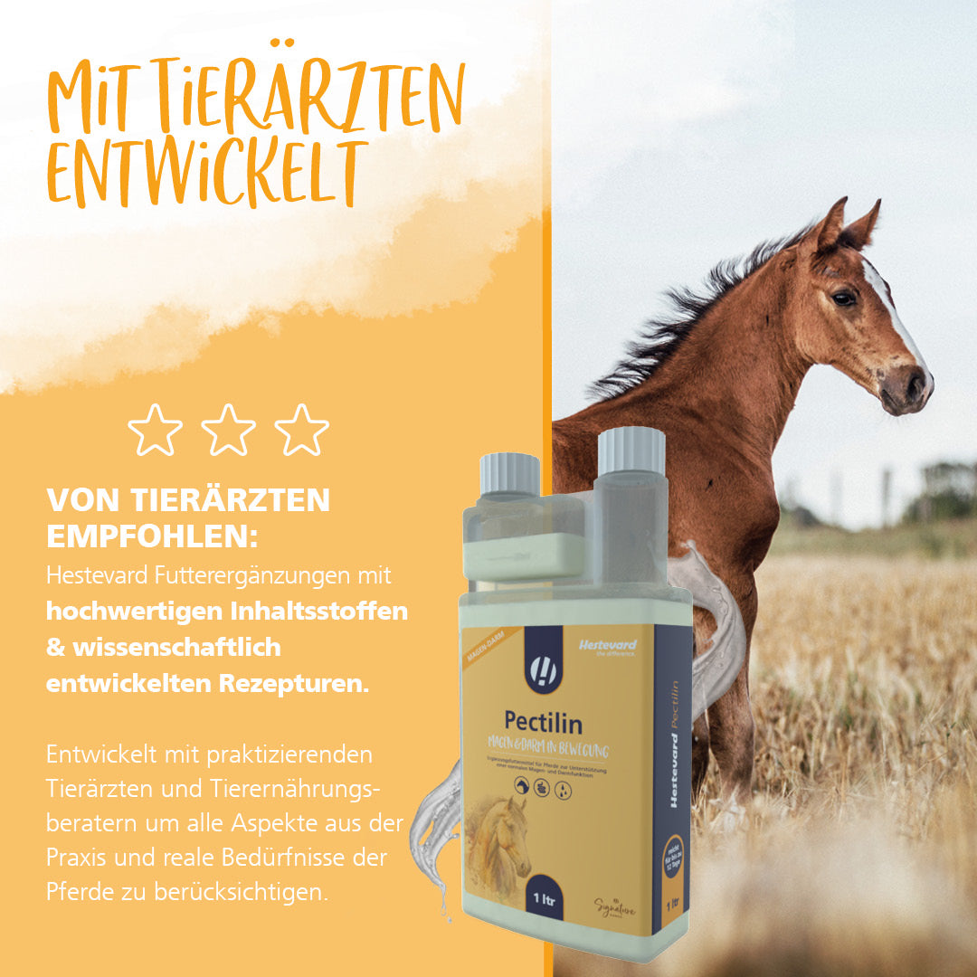 Hestevard Pectilin - 1L Flasche