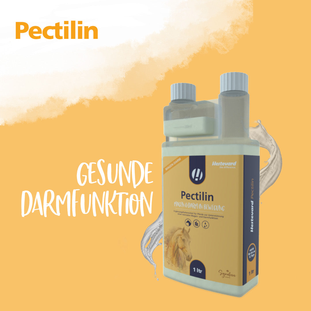 Hestevard Pectilin - 1L Flasche