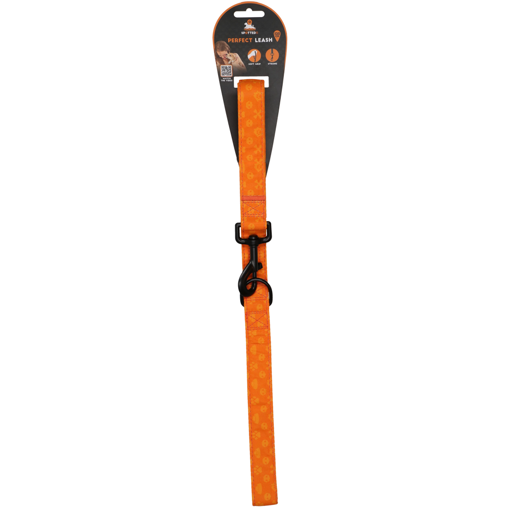 Spotted! Pro Perfect Leash 120 cm Orange *