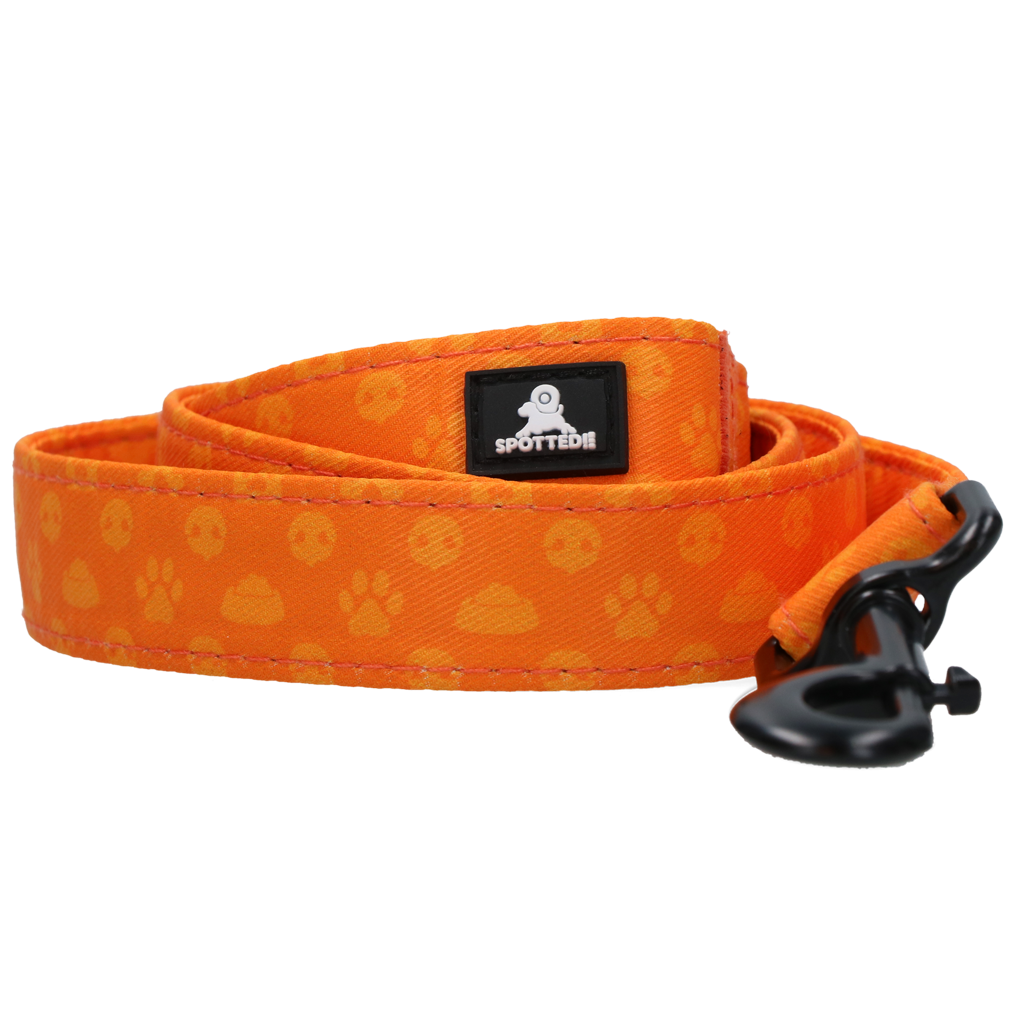Spotted! Pro Perfect Leash 120 cm Orange *
