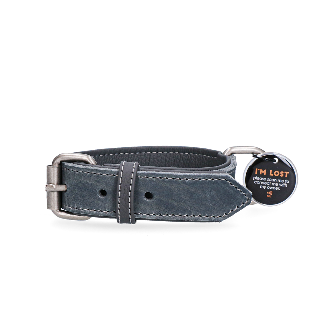 Spotted! Pro Lederhalsband Grau 3 x 65 cm *