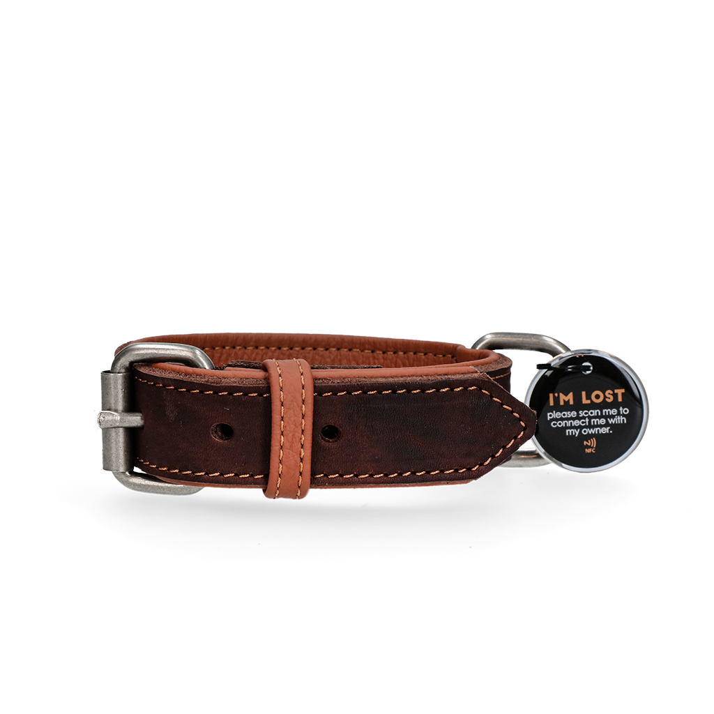 Spotted! Pro Lederhalsband Braun 2,5 x 50 cm *
